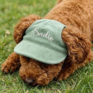Puede incluir: Una gorra para mascota de pana en color verde salvia con el nombre Sadie bordado en letra cursiva blanca en el panel frontal. La gorra cuenta con una visera estructurada y una superficie de tela texturizada, diseñada para ajustarse bien.