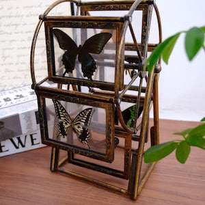 May include: A rotating ferris wheel display stand made of antique gold metal with multiple rectangular glass frames. Each frame contains a preserved butterfly specimen, including one black butterfly and one black and white patterned butterfly.