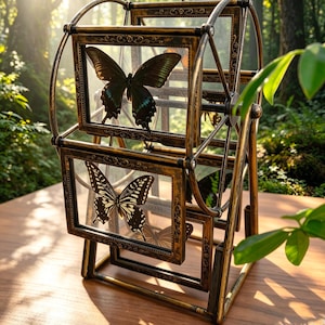 Puede incluir: Un expositor giratorio con varios marcos rectangulares ornamentados en color oro antiguo. Cada marco contiene un espécimen de mariposa preservado tras un cristal. La estructura recuerda a una noria con un marco de metal oscuro y desgastado.