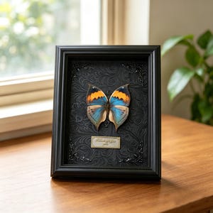 Real Butterfly Specimen Frame, Framed Butterfly Display Art, Floating Shadow Box Decor, Nature Inspired Home Accent