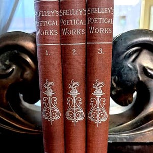 Antieke Percy Shelley 3 delen set art nouveau binding romantische poëzie Hurd Houghton jaren 1880 bibliotheek decor
