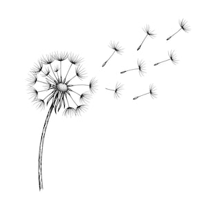 Op de afbeelding: Een zwart-wit illustratie van een paardenbloemzaadhoofd met wegwaaiende zaden. De paardenbloem staat in volle bloei, met een lange stengel. De zaden zijn verspreid over een witte achtergrond.