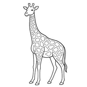 May include: A black and white line art illustration of a giraffe standing in profile. The drawing features the animal's long neck, ossicones on its head, and a distinct pattern of irregular, rounded spots covering its entire body and legs.