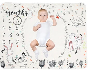 Baby Photography Photo Minky Background Blanket, Newborn Rabbit Month Anniversary Background Toy Blanket