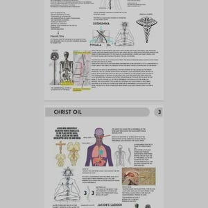 以下が含まれることがあります： 上部に「CHRIST OIL」の文字が入った2ページのイラスト。ページには、図、解剖学的図面、テキストが含まれています。図には、人体、カドゥケウス、幾何学的な形の画像が含まれています。テキストには「SUSHUMNA」、「PINGALA」、「JACOB'S LADDER」という言葉が含まれています。