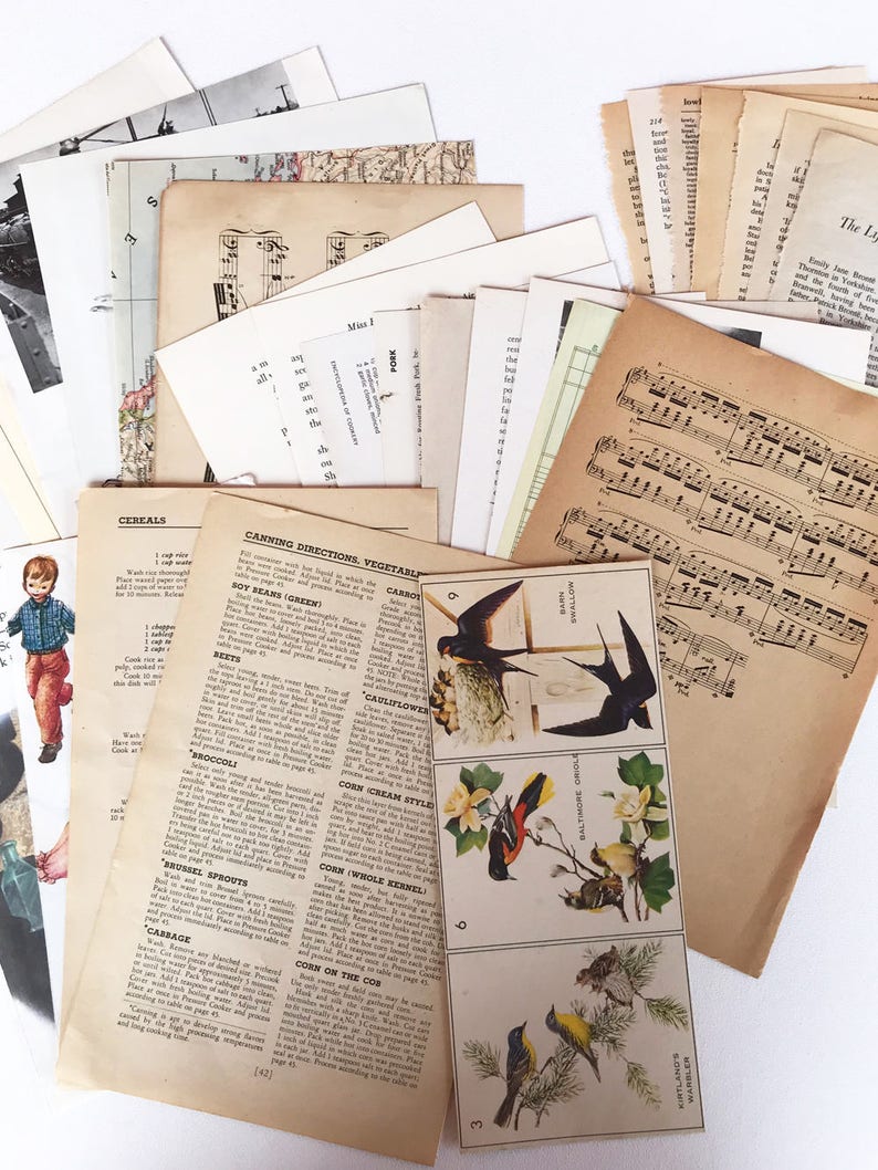 Spam essay paper 06 image