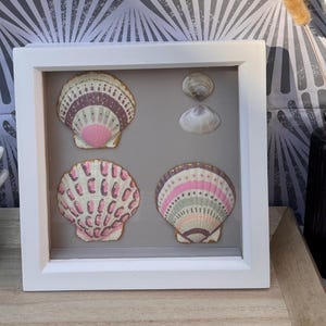 May include: A square white shadow box frame containing four decorative seashells mounted on a grey background. Three of the shells are hand-painted with intricate pink, white, and brown patterns, while two smaller, unpainted shells are positioned above.