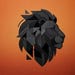 WildLionn Studio