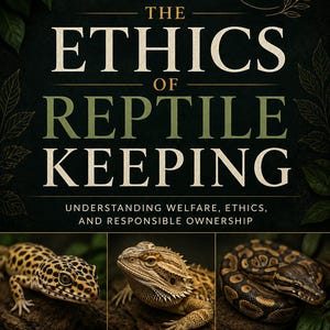 Op de afbeelding: Een boekomslag met de titel The Ethics of Reptile Keeping en de ondertitel Understanding Welfare, Ethics, and Responsible Ownership. Het bevat afbeeldingen van een luipaardgekko, een baardagame en een koningspython op een donkere achtergrond.