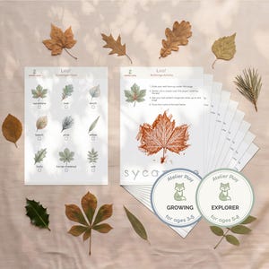 Hojas imprimibles de búsqueda del tesoro y frotado de hojas, juego de naturaleza otoñal al aire libre, PDF de identificación de árboles Montessori