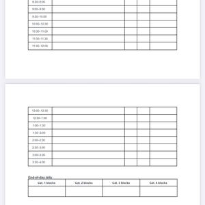 Op de afbeelding: Document van twee pagina's getiteld "Pattern Check - Day 1" en "Pattern Check - Day 2" met tabellen voor het volgen van tijd en energie. Bevat secties voor leiderschap, communicatie en operaties, met tijdsperioden van 7:00 tot 16:00 uur.