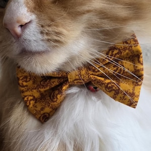 May include: A long-haired orange and white cat wearing a mustard yellow bow tie with a dark brown intricate paisley pattern. The bow tie is centered around the cat's neck, featuring a classic pleated design with a central fabric knot detail.