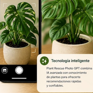 May include: A smartphone displays a plant identification app interface with a green monstera plant in a beige pot on screen. The graphic includes the text 'Solo toma una foto y deja que la IA haga el resto' and lists four steps for plant care.