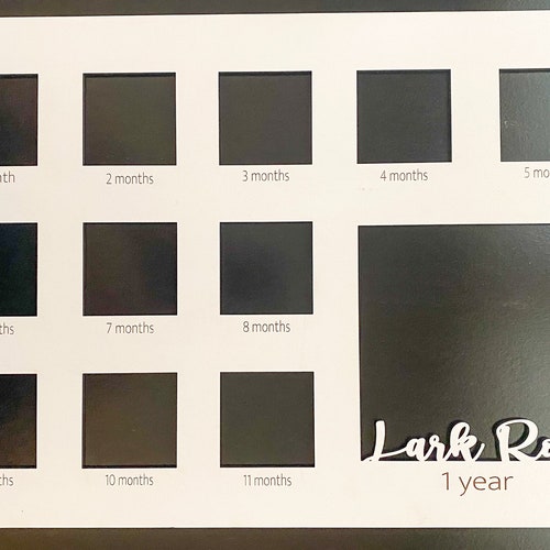 Baby's First Year Picture Frame Personalized With Any Etsy