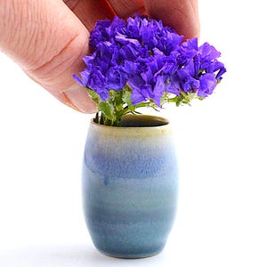 May include: A small, blue and white ceramic vase holds a cluster of vibrant purple flowers. The vase has a gradient effect, transitioning from a light blue at the top to a darker blue at the base. The flowers are being held by a hand.