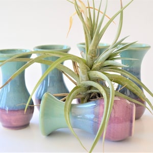 May include: Five small, hand-crafted ceramic vases in shades of teal and purple. The vases are arranged in a cluster with a green air plant in the center.