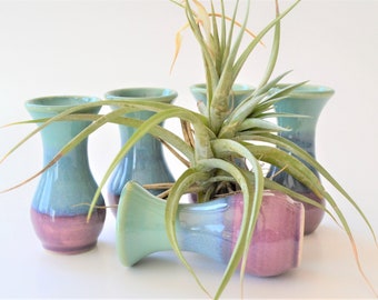 May include: Five small, hand-crafted ceramic vases in shades of teal and purple. The vases are arranged in a cluster with a green air plant in the center.