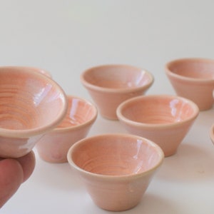 May include: A set of ten small, peach-colored ceramic bowls. The bowls are all the same size and shape, and they have a slightly textured surface.