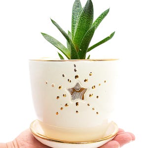 Handmade Pottery Planter: Small White Stoneware Pot with 22K Gold Star