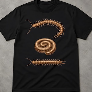 May include: A black short-sleeved t-shirt featuring a graphic print of three arthropods in a metallic bronze tone. The design includes a curved centipede at the top, a coiled millipede in the centre, and a straight centipede at the bottom.