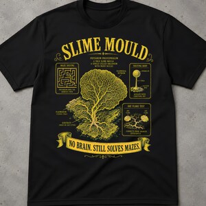 Può includere: Una t-shirt nera a maniche corte con una stampa grafica gialla di un mixomicete. Il design include diagrammi scientifici, etichette e il testo "SLIME MOULD" in alto e "NO BRAIN. STILL SOLVES MAZES." su un nastro nella parte inferiore.