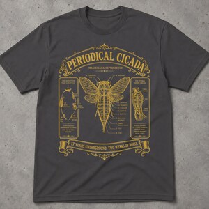 Op de afbeelding: Een donkergrijs T-shirt met korte mouwen en een goudkleurige wetenschappelijke illustratie van een periodieke cicade. De afbeelding bevat anatomische labels, een levenscyclusdiagram en de tekst: Periodical Cicada, Magicicada Septendecim, 17 Years Underground, Two Weeks of Noise.