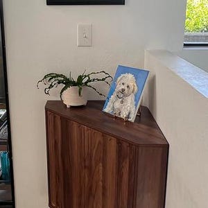 Pu&ograve; includere: Un mobile ad angolo in legno scuro con pannelli verticali e lati angolati. Sopra si trovano un vaso bianco testurizzato con una pianta verde e un dipinto rettangolare su tela raffigurante un cane bianco su sfondo blu brillante.