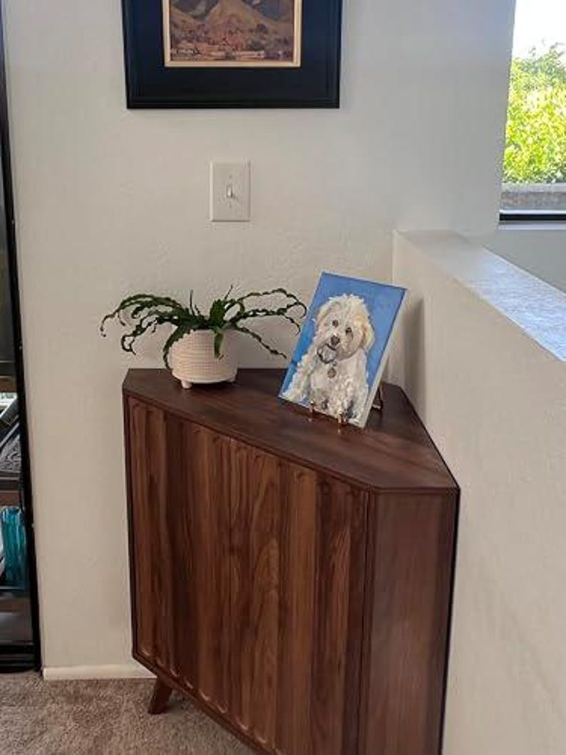 Pu&ograve; includere: Un mobile ad angolo in legno scuro con pannelli verticali e lati angolati. Sopra si trovano un vaso bianco testurizzato con una pianta verde e un dipinto rettangolare su tela raffigurante un cane bianco su sfondo blu brillante.