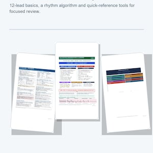 May include: A digital EKG study bundle featuring three white documents with dark blue, green, and red text. The pages include an EKG rhythm interpretation algorithm, 12-lead basics, and a quick-reference card with color-coded sections for medical review.