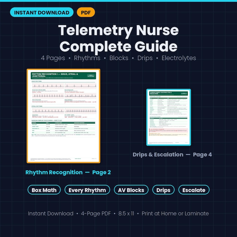 Pu&ograve; includere: Una guida completa per infermieri di telemetria in formato PDF di 4 pagine che include riconoscimento dei ritmi, blocchi cardiaci, flebo ed elettroliti, con pagine dedicate ai ritmi e alle flebo ed escalation di 8,5 per 11 pollici.