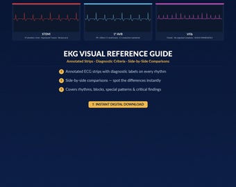 Interactive EKG Visual Guide | 53 Animated ECG Patterns for Nurses & Students | Offline HTML App