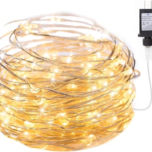 May include: A coiled strand of warm white LED fairy lights on a thin, flexible silver-colored wire. The string is connected to a black electrical power adapter plug with two prongs and printed technical specifications on its surface.