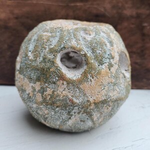 May include: A weathered, round stone object with a central hole and a rough, textured surface. The stone features a mottled pattern of green, tan, and white hues, suggesting age and natural weathering. The object's shape is spherical, with a slightly flattened top and bottom.