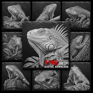 Puede incluir: Una colección de nueve ilustraciones de iguanas en escala de grises, cada una sobre un fondo cuadrado oscuro. Las imágenes muestran dibujos detallados de iguanas en varias poses, con el texto "9 PNG 300 DPI DIGITAL DOWNLOAD" en la parte inferior.