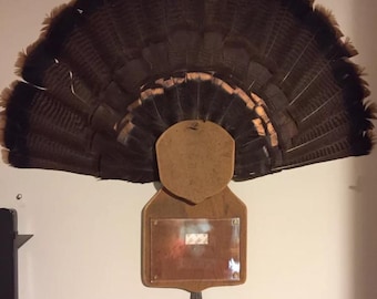 Turkey fan/beard mounting plaque with acrylic photo holder