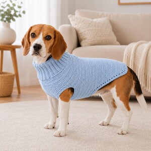 Könnte beinhalten: Ein hellblauer Hundepullover mit geripptem Rollkragen und strukturiertem Strickmuster. Das ärmellose Kleidungsstück hat Öffnungen für die Vorderbeine und bedeckt den Rumpf eines mittelgroßen Hundes mit braunem, weißem und schwarzem Fell.