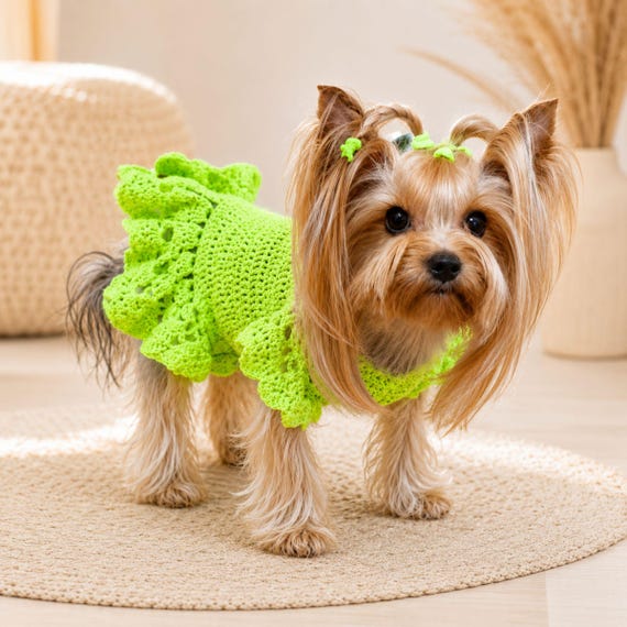 Ruffle Crochet Dog Dress Pattern PDF for Yorkies, Small Pet Outfit with Video Tutorial