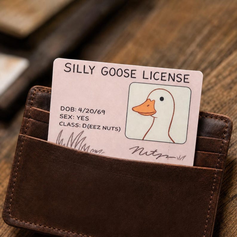 May include: A brown leather wallet holds a "Silly Goose License" card. The card features a cartoon goose illustration and text including "DOB: 4/20/69", "SEX: YES", and "CLASS: D(EEZ NUTS)". The wallet is partially open, revealing the card.