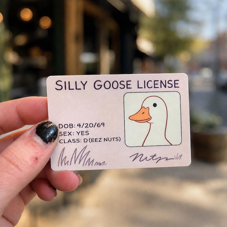 May include: A novelty "Silly Goose License" card with a cartoon goose illustration. The card includes the text "SILLY GOOSE LICENSE", "DOB: 4/20/69", "SEX: YES", and "CLASS: D (EEZ NUTS)". The card is held by a hand.