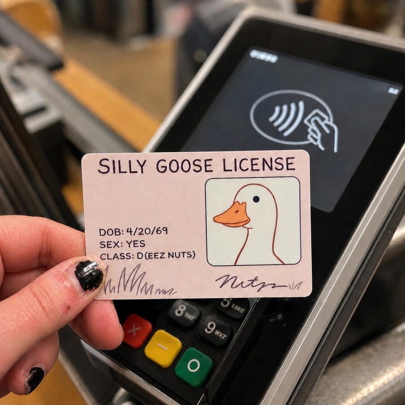 May include: A pink "Silly Goose License" card featuring a cartoon goose with an orange beak. The card includes the text "DOB: 4/20/69", "SEX: YES", and "CLASS: D(EEZ NUTS)". The card is held near a payment terminal.