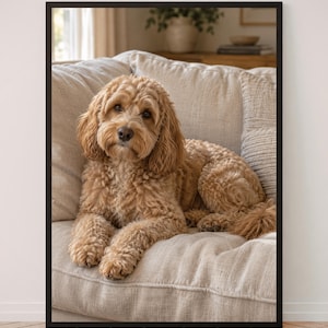 Puede incluir: Una lámina de arte enmarcada que muestra a un perro de pelo rizado color marrón dorado descansando sobre un sofá beige texturizado. El perro tiene orejas caídas, nariz oscura y mira hacia adelante. El marco es fino y negro.