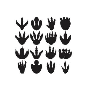 May include: A collection of sixteen black dinosaur footprint silhouettes on a white background. The footprints vary in size and shape, showcasing different types of dinosaur tracks. Ideal for educational materials or decorative purposes.