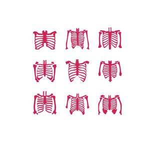 May include: A grid of nine distinct hot pink illustrations depicting human rib cages and thoracic structures. Each graphic shows the skeletal arrangement of the chest area, including the sternum, ribs, and clavicle bones, arranged in three rows.