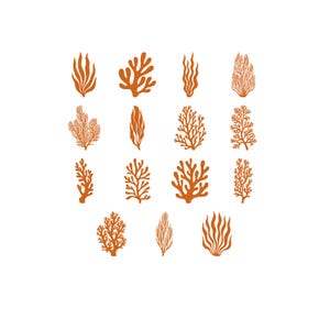 Puede incluir: Ilustraciones de arrecifes de coral en tonos naranja sobre fondo blanco. La imagen presenta varios diseños de coral y algas marinas, perfectos para proyectos temáticos del océano. Las ilustraciones son detalladas y estilizadas, adecuadas para arte digital o impresión.