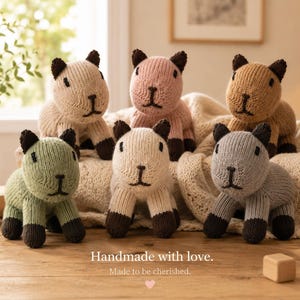 Peut inclure: Six peluches capybara tricotées dans des tons vert sauge, crème, beige, rose, fauve et gris. Chaque animal possède des oreilles et des pattes marron foncé, des yeux noirs brodés et un museau cousu. Le texte indique : Handmade with love. Made to be cherished.