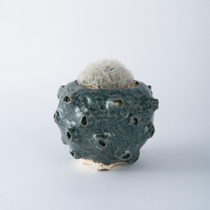May include: A round, dark teal ceramic planter with a textured, cratered surface and small indentations. The pot features a glossy, mottled glaze finish and contains a small, round, fuzzy white cactus plant nestled inside the top opening.