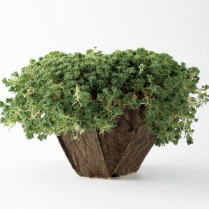 Handmade ceramic art pot [100 Fortress]
