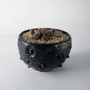 Handmade ceramic art pot [039 Cosmo]