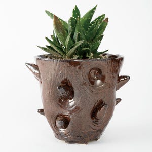 Handmade ceramic art pot [060 Pine Cone]