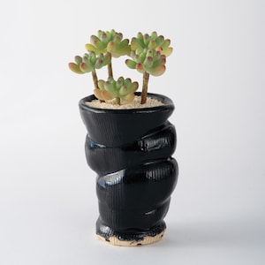 May include: A glossy black ceramic planter with a ribbed, undulating texture and a flared rim. The planter contains a cluster of small, light green succulents with reddish tips, planted in a layer of fine, light-colored sand or gravel.